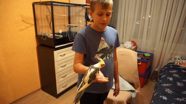 Карл на руке у Миши в первый раз смотреть онлайн