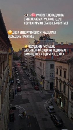 Утренние тренировки - лучше?