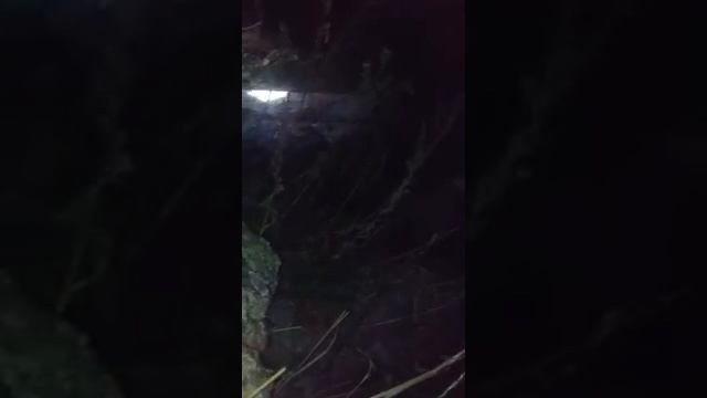 Ахота на барсук смотреть онлайн