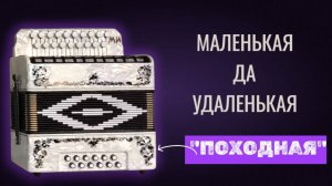 Размер имеет значения? Обзор-сравнение шуйских двухголосных гармошек #гармонь #купитьгармонь
