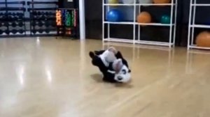 Panda Dance
