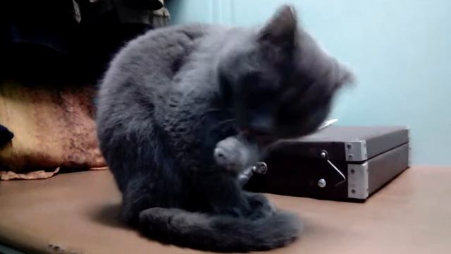 27 апреля 2017 г. смотреть онлайн