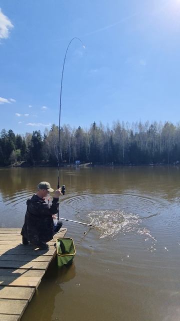 Поимка карпа смотреть онлайн