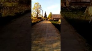 Тыр-тыр Митя на выезде