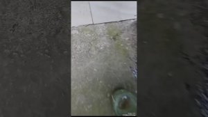 как покрыть бетон лаком