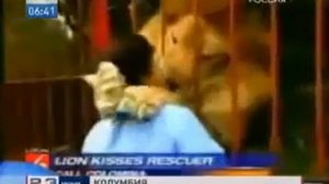 Лев узнал и обнял свою спасительницу спустя 4 года Leo learned and embraced his savior after 4 year
