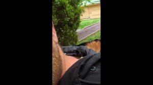 План зазвата потолка - улёт