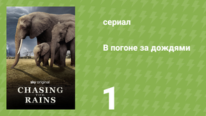 В погоне за дождями 1 серия «Переменчивая река» (документальный сериал, 2022)