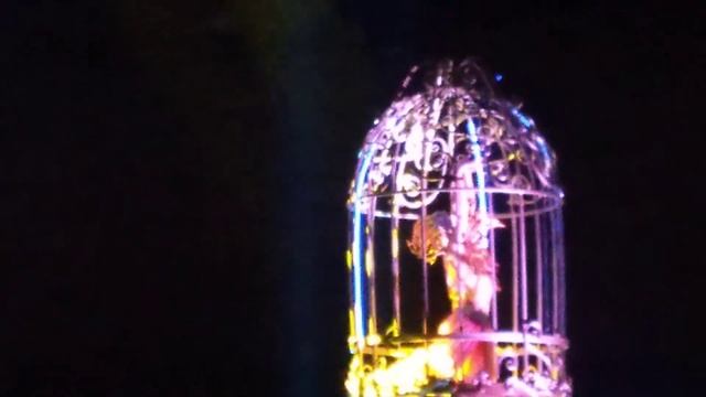 Девушка жарптица летает под куполом цирка смотреть онлайн