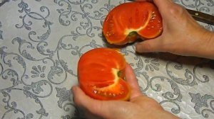 Томат Томато (Италия). Тест плодов.