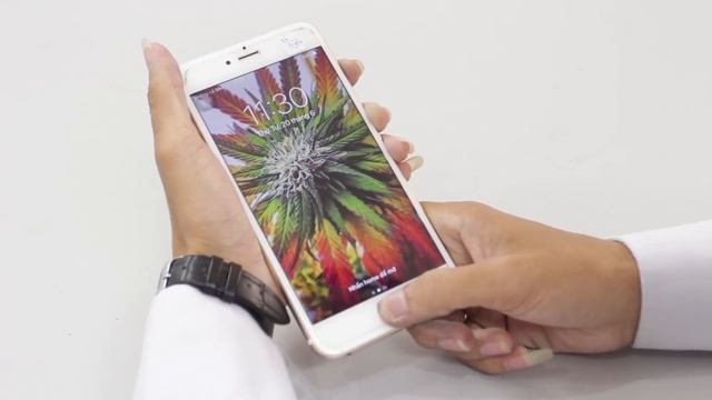 Những lỗi thường gặp nhất trên iPhone 6 Plus - Bệnh viện điện thoại 24H