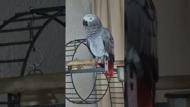 Трогательно! Ждёт папу с работы. смотреть онлайн