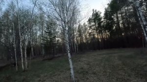 Охота на тяге вальдшнепа 21.04.2025