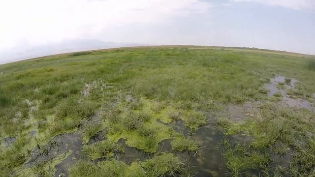 Охота на куликов в Армении, продолжение следует... կտցարների որս Հայաստանում смотреть онлайн