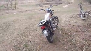 Приехал в лес за берëзовкой а там.....