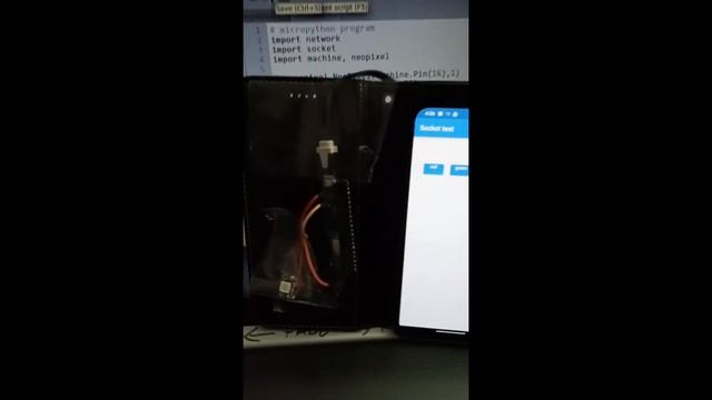 pico w flutter micropython socket demo, source in the description