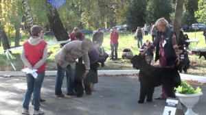 29 сентября 2012г, САС, Тула, эксп. Расчихмарова