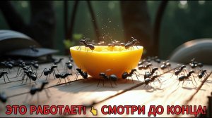 ОНА БЫЛА ПОЛНОСТЬЮ ПОКРЫТА МУРАВЬЯМИ… Но ЭТОТ забытый СЕМЕЙНЫЙ СПОСОБ ИЗМЕНИЛ ВСЁ!