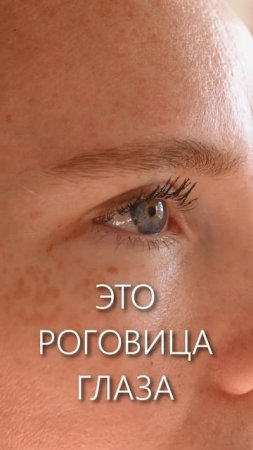 Роговица - единственная часть тела которая...