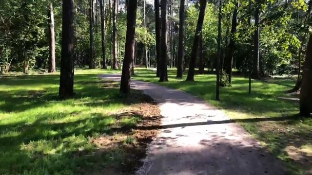 Парк «Раздолье» за день до открытия