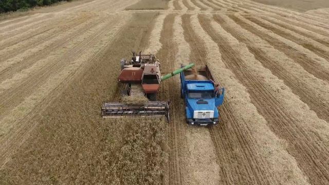Уборка Урожая Комбайн в поле смотреть онлайн