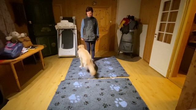 Part 2. Remake. Переделка из ФП в ОП , отход от наведения смотреть онлайн