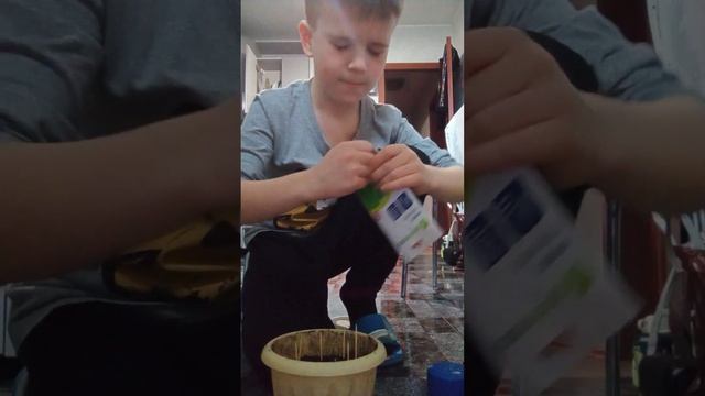 Я посадил укроп. Видео урок который подходит для всех сортов укропа! смотреть онлайн