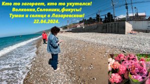 Одни загорают, другие укутались! Волконка, Солоники и фикусы!  Лазаревское 22.04.25. Туман и солнце