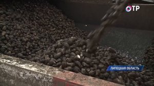 Добринский сахарный завод побил рекорд в 2016 году