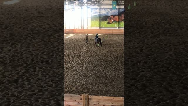 Управление лошадью часть 2 смотреть онлайн