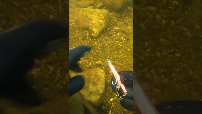 дно реки воблер #fishing