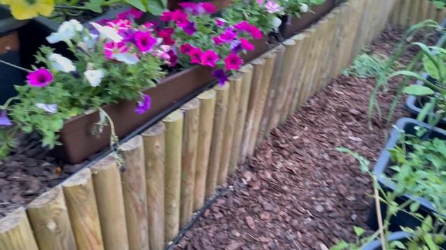 Early June 2023 kitchen garden смотреть онлайн