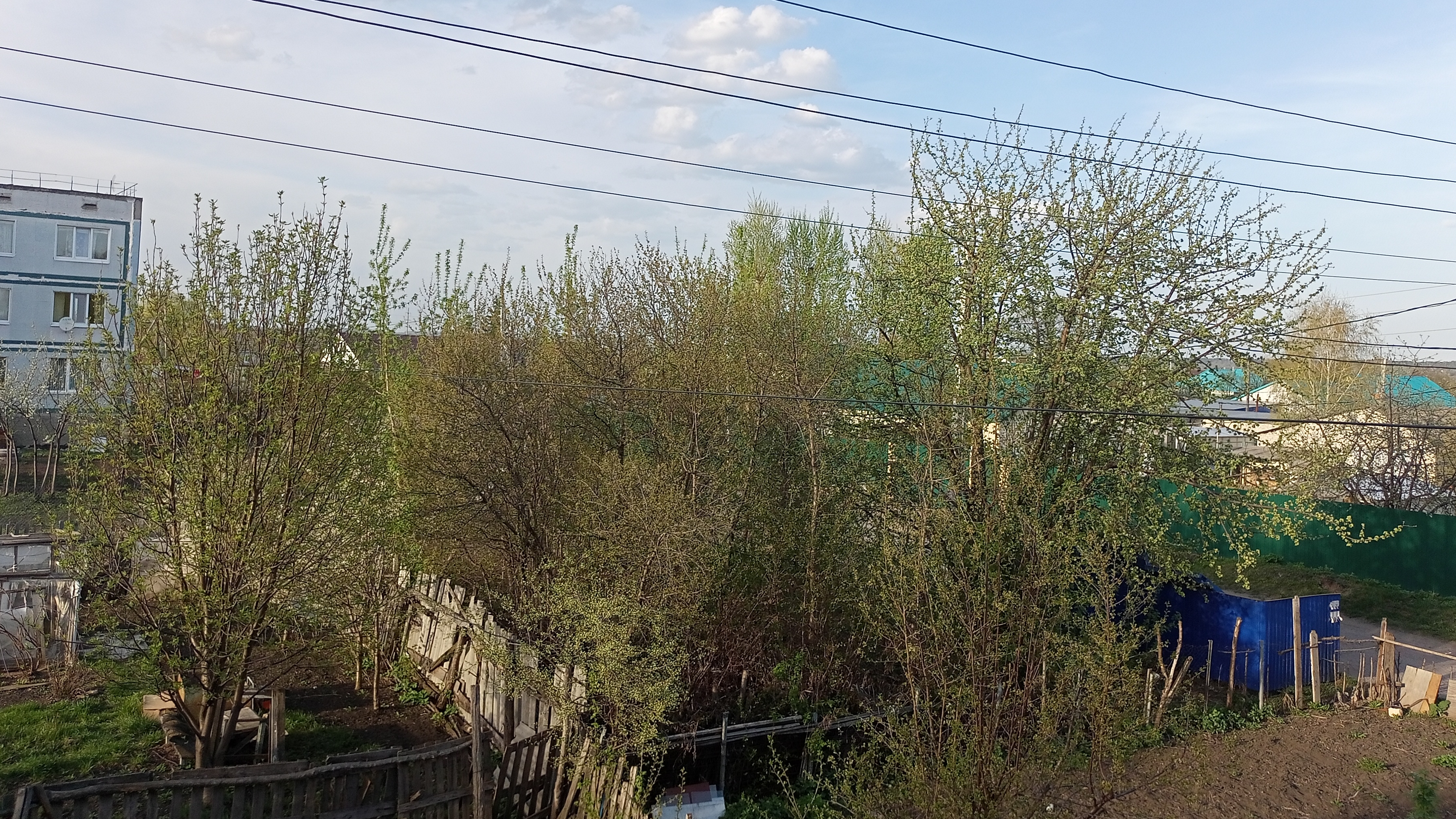 апрельский вечер в деревне, птицы поют, деревенская атмосфера, жизнь в деревне
