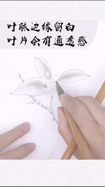 水墨画第四十集：《桂花的画法》 Ink painting 40th episode: The Painting of Osmanthus Flowers смотреть онлайн