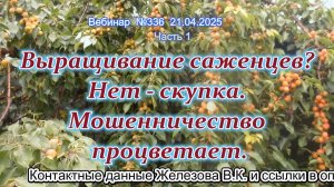 Железов Валерий. Вебинар 336. ч.1. Выращивание саженцев? Нет - скупка. Мошенничество процветает.