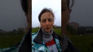 Выгул лошади