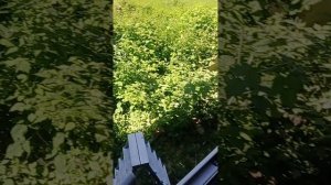 не понятно как отрегулировать замок в пластиковых дверях