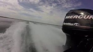 Tracker Boat 190 Proteam Mercury 90 Optimax