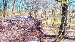 Боевая работа расчетов FPV-дронов Тульских десантников