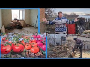 Мой дом у лимана. Живу на юге. Семена помидоров. Уборка территории. Поездка в Краснодар начинается