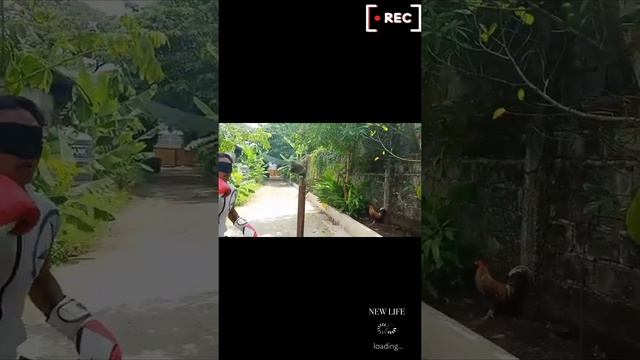 #1Viral video blindfold machete sparbar Challenge accepted