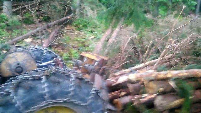 Skidder (трелевочный трактор) LKT 81