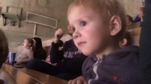 Елка в Уголке Дурова