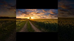 Как в семени сокрыт цветок