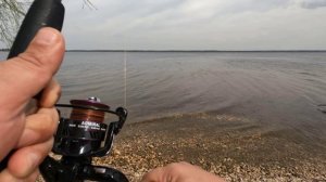 Открытие 2025.Донки.Сало.