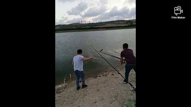 Sazan Avı 2020 ( 12 kg ) смотреть онлайн