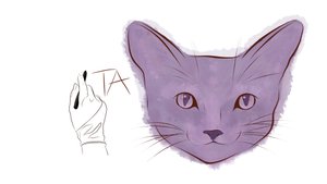 Рисуем кота на планшете. Ускоренная съёмка рисования кота. Учимся рисовать кота