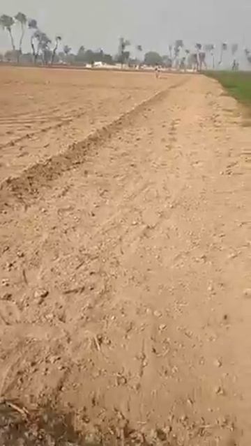 Preparing land for Lucerne @ BGFS смотреть онлайн