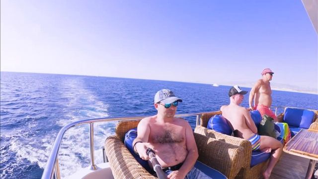 Albatros Sharm смотреть онлайн