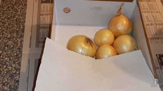 Лук хранится до весны свежим, как только с грядки! смотреть онлайн